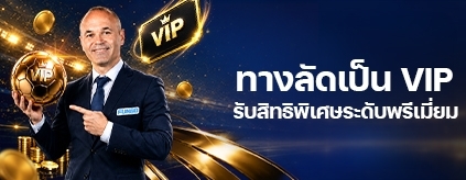 โปรแกรมเลื่อนระดับ VIP