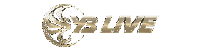 YeeBet Live Casino